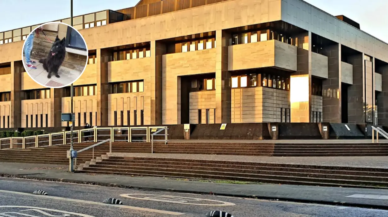 Dog found dumped in critical condition on Glasgow street required oxygen