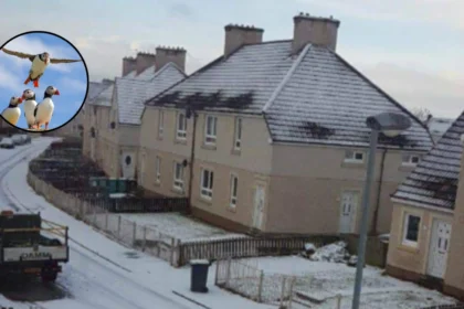 Motherwell Photo Society Members Night 2026