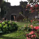 New 'cottage kitchen garden’ inspired food hall to be unveiled tomorrow