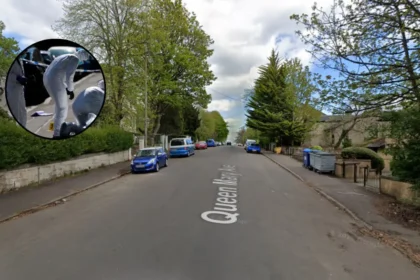 Glasgow fireworks incident on Dixon Avenue, Crosshill 2026