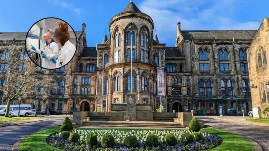 Glasgow's AI Chemputation Validates Drug Discovery Breakthrough, 2026