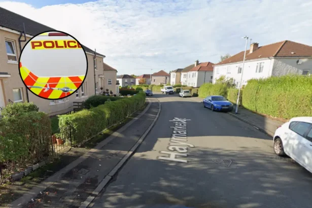 51-Year-Old Arrested in £130,000 Cannabis Raid, Carntyne Glasgow 2026