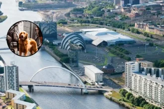 Barklove Returns to SWG3 for Dog Festival, Glasgow 2026