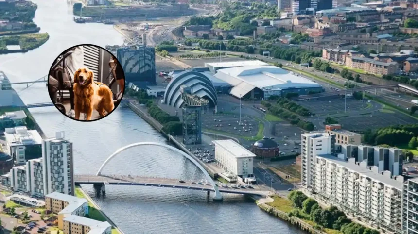 Barklove Returns to SWG3 for Dog Festival, Glasgow 2026