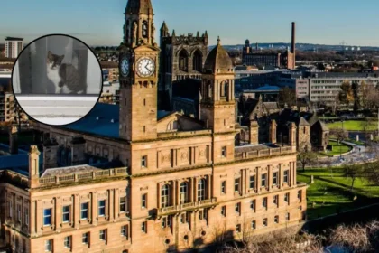 Drunk Paisley woman sets ex‑boyfriend’s bed on fire over missing cat, 2026