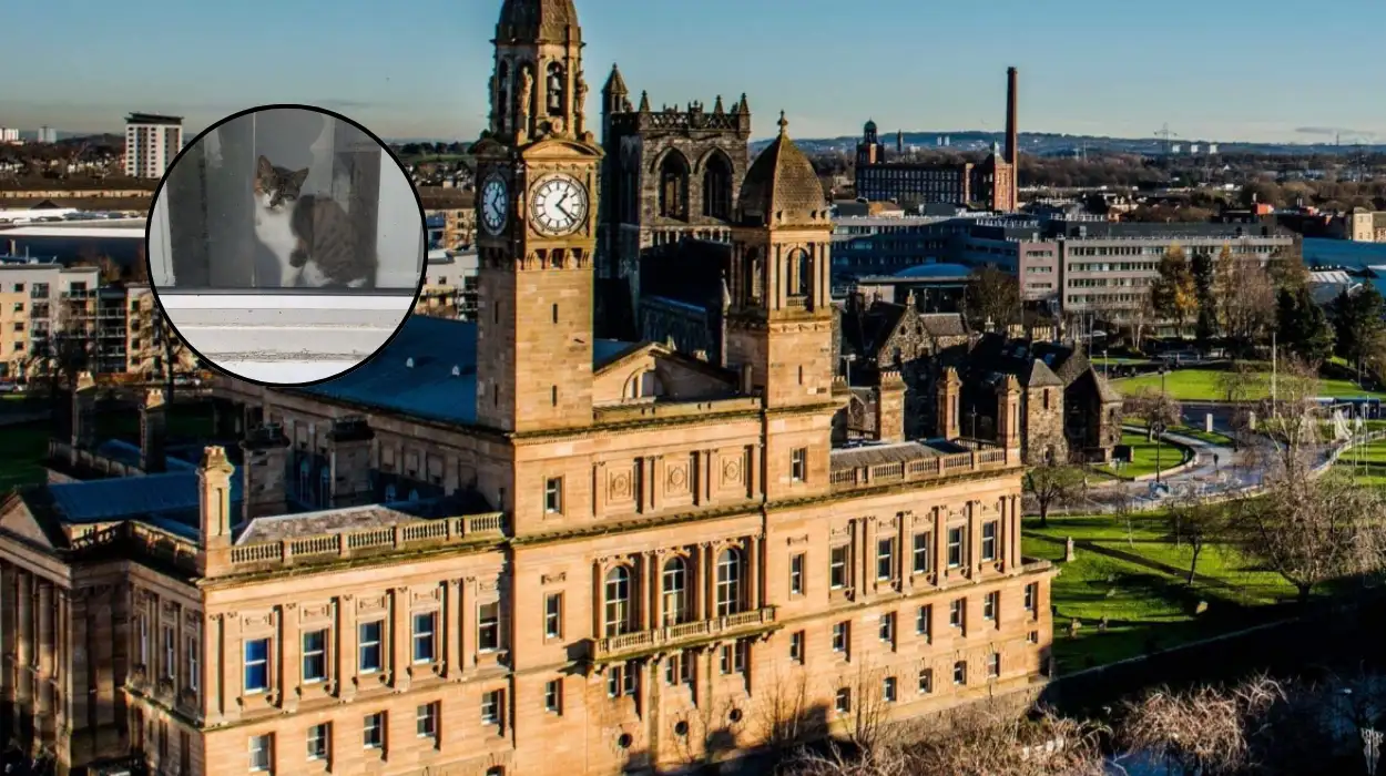 Drunk Paisley woman sets ex‑boyfriend’s bed on fire over missing cat, 2026