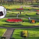 New 5G Mast Planned Near Victoria Park, Glasgow West End 2026