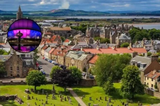 New Interactive Urban Bee Trail Launches at Glasgow Landmarks in 2026