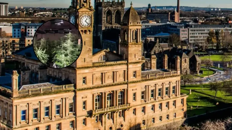 Vietnamese National Jailed After Massive £123k Cannabis Farm Raid, Paisley 2026