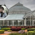 Sex Attacker Jailed 5 Years for Glasgow Green Attempted Rape; Glasgow 2026