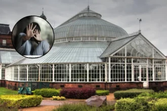 Sex Attacker Jailed 5 Years for Glasgow Green Attempted Rape; Glasgow 2026