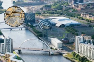 Glasgow Company Director Banned Over Illicit Tobacco – Glasgow 2026