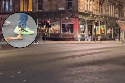 Loose Snake Snaps at Shoppers in Glasgow City Centre 2026