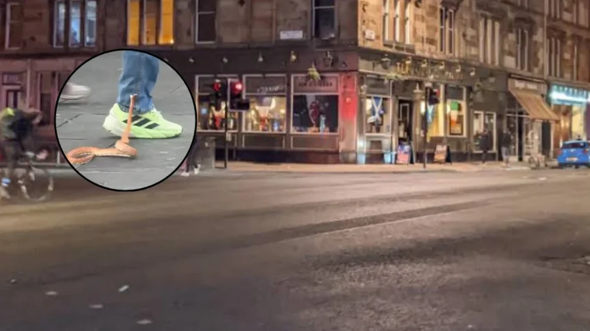 Loose Snake Snaps at Shoppers in Glasgow City Centre 2026
