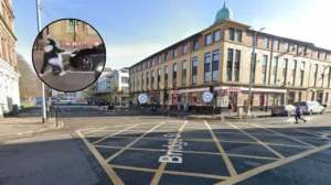 Man Chased and Violent Assaulted on Bridge Street, Glasgow 2026