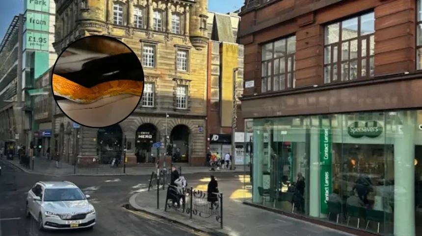 SSPCA Issues Appeal After Snake Rescued Outside St Enoch Centre Glasgow 2026
