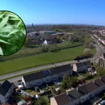 Van Le Pleads Guilty To £189k Pollok Cannabis Farm Operation 2026