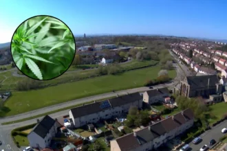 Van Le Pleads Guilty To £189k Pollok Cannabis Farm Operation 2026