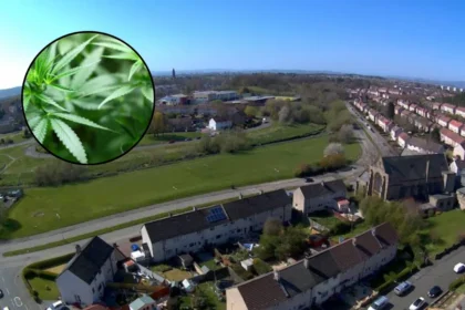 Van Le Pleads Guilty To £189k Pollok Cannabis Farm Operation 2026