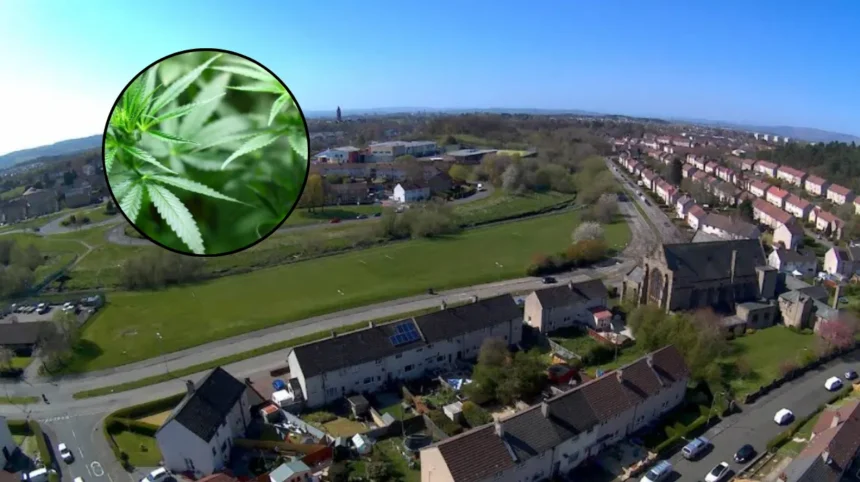 Van Le Pleads Guilty To £189k Pollok Cannabis Farm Operation 2026