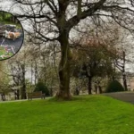 Burnt-Out Motorcycle Found in Park, Dennistoun 2026