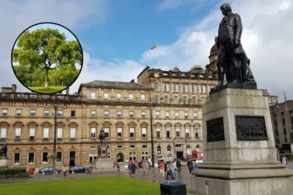 Glasgow Plants 30,000 Trees in Record Environmental Effort 2026