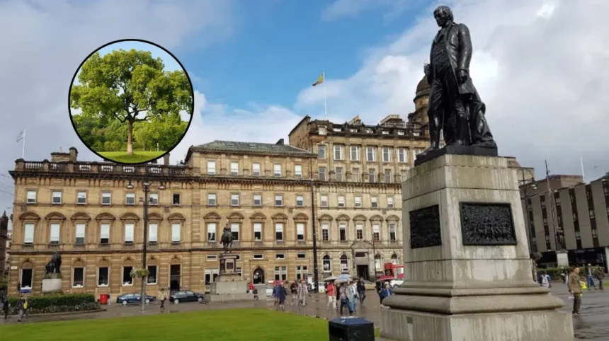 Glasgow Plants 30,000 Trees in Record Environmental Effort 2026