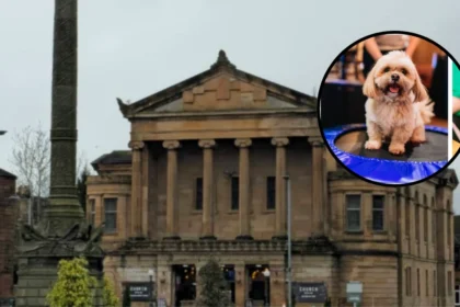 Scotland’s Top Dog-Friendly Pub Named in Glasgow 2026