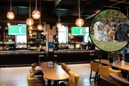 Scotlands Top Dog-Friendly Pub Named in Glasgow 2026