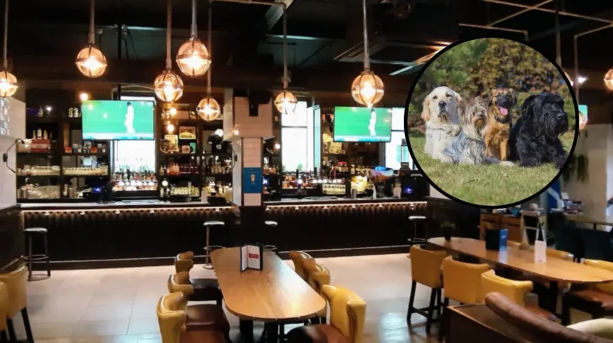 Scotlands Top Dog-Friendly Pub Named in Glasgow 2026