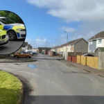 Boy Hospitalised After Dog Attack in Glasgow Property Glasgow 2026