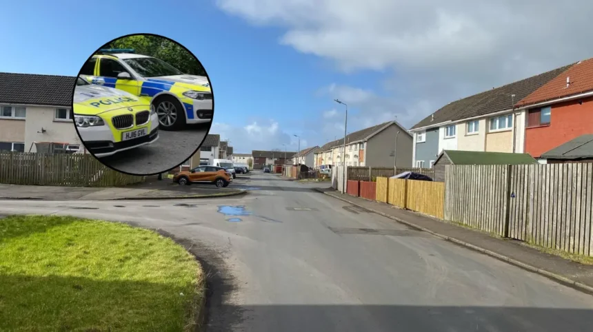 Boy Hospitalised After Dog Attack in Glasgow Property Glasgow 2026