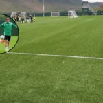 Chris Sutton Urges Patience on Jota's Celtic Return - Lennoxtown 2026