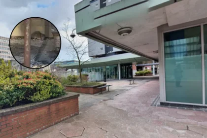 Glasgow High-Rise Safety Probe Launched Over Rats in Glasgow 2026