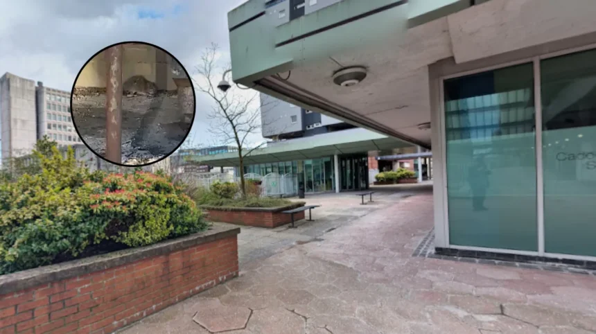 Glasgow High-Rise Safety Probe Launched Over Rats in Glasgow 2026