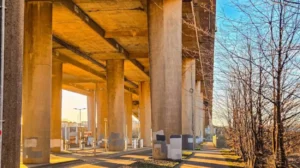 Plans Unveiled for Greener Public Space in Anderston 2026