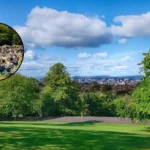 Queen’s Park Food Festival Set to Return to Glasgow 2026